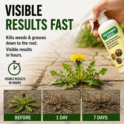 ⏰ Exclusive 2026 SALE Activated! Today Only: Get an Extra 50% OFF — Protect Your Lawn Before This Limited Offer Ends! ✅